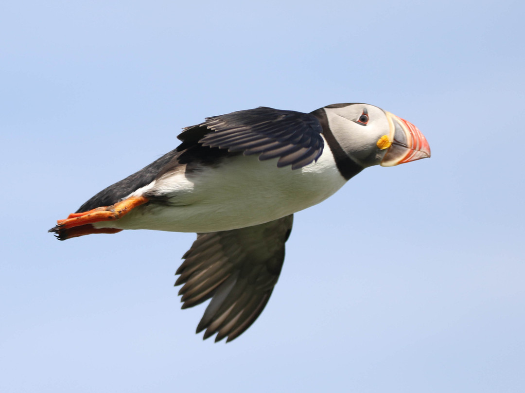 Tourisme Loiselle-Longue-Pointe-de-Mingan必去景点