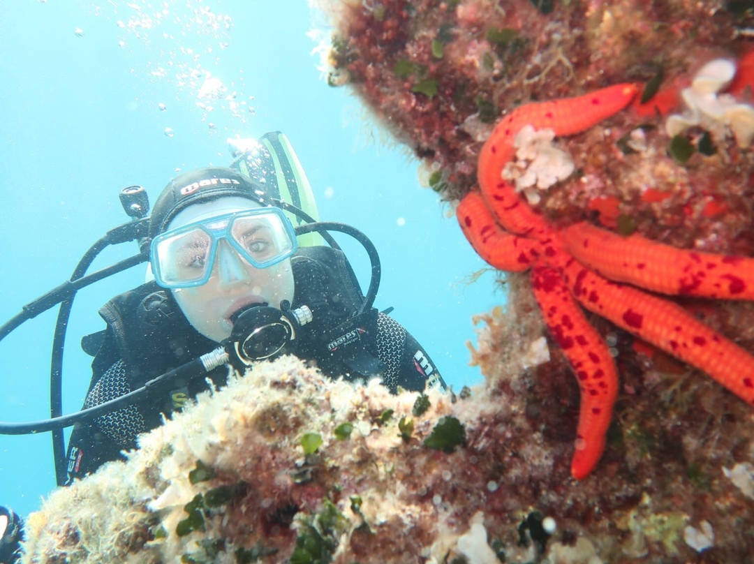 Epidaurum Diving & Water-Sports Center景点图片