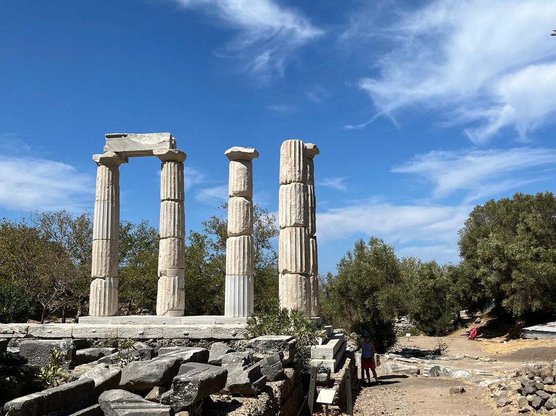 Sanctuary of the Great Gods-Palaiopoli必去景点