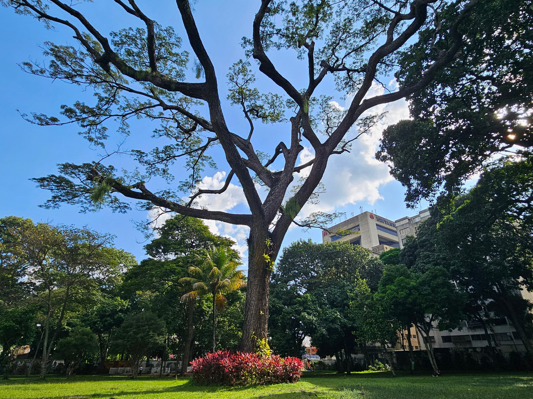 Pdvsa Centro de Arte La Estancia景点图片