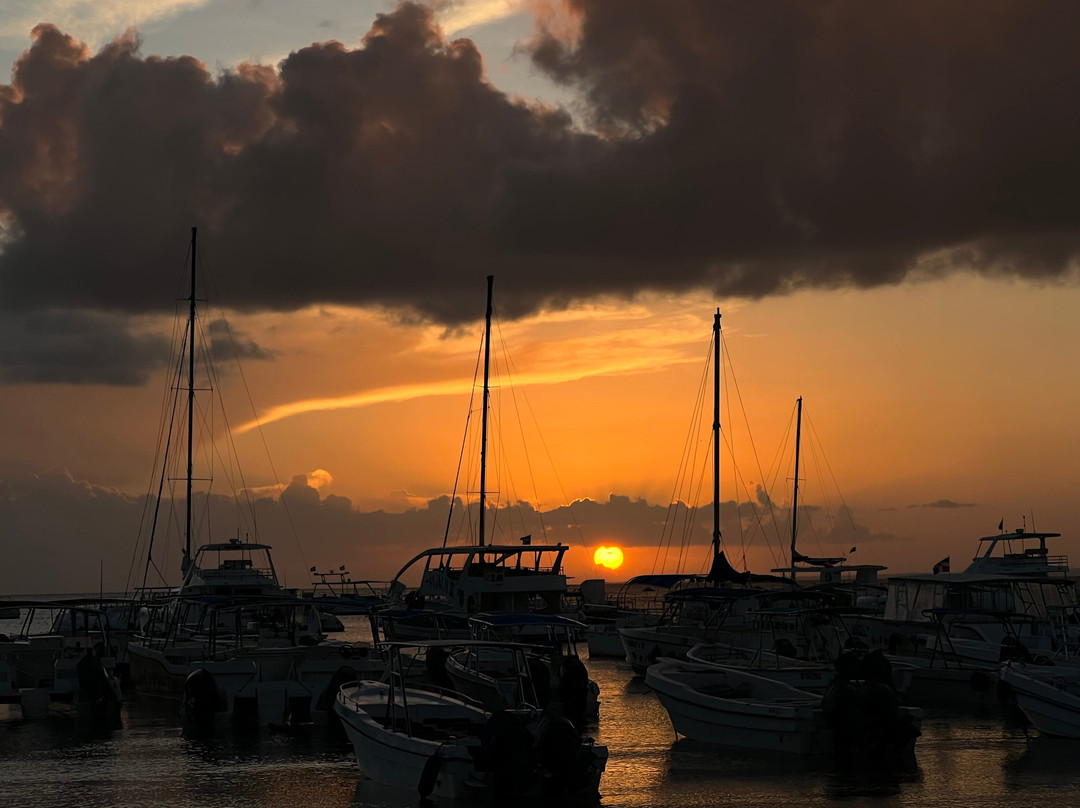 Estro Art Cafe Bistro