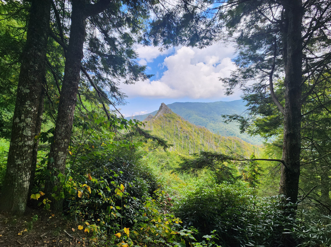 Chimney Tops Trail-大雾山国家公园必去景点