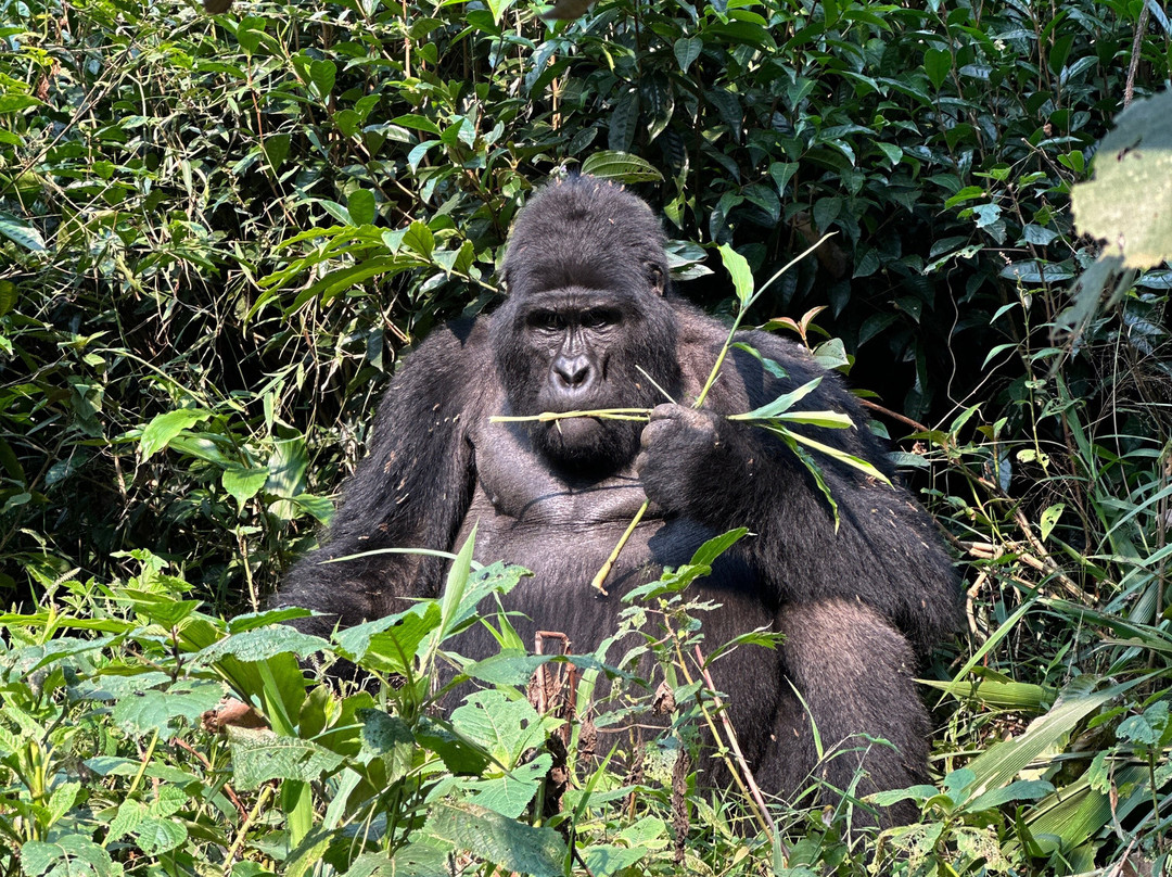 Ubuntu Voyages-Goma必去景点