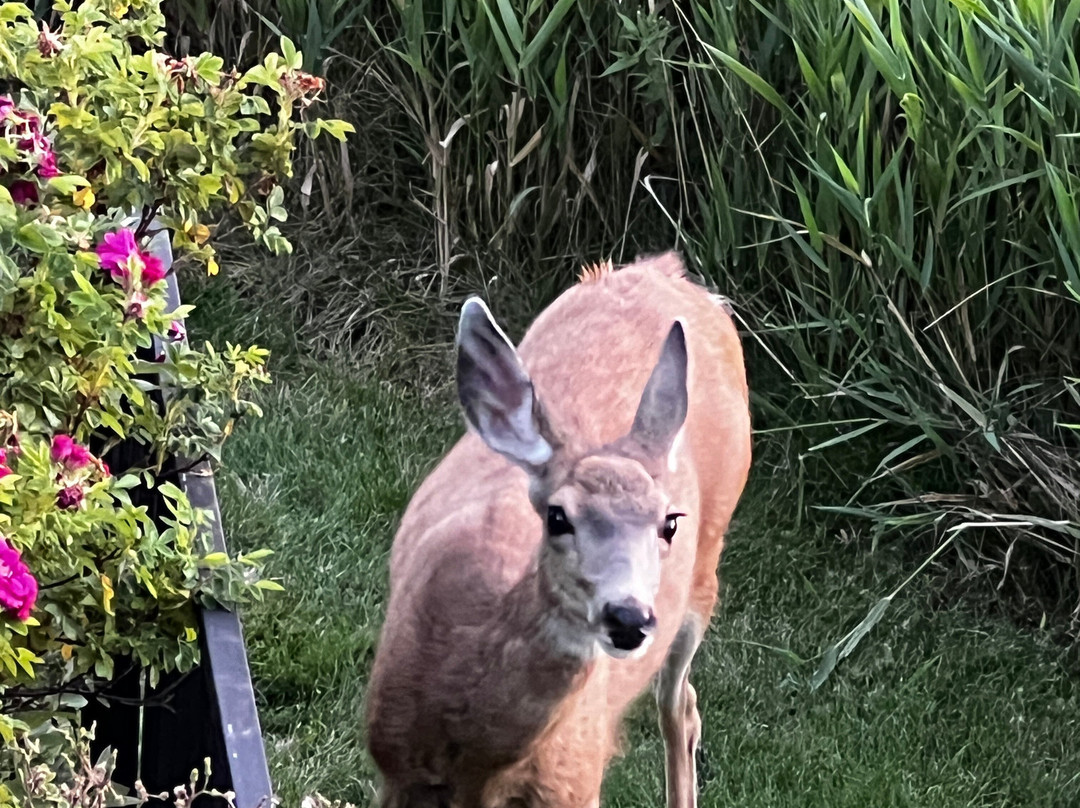 Sunriver Resort主图