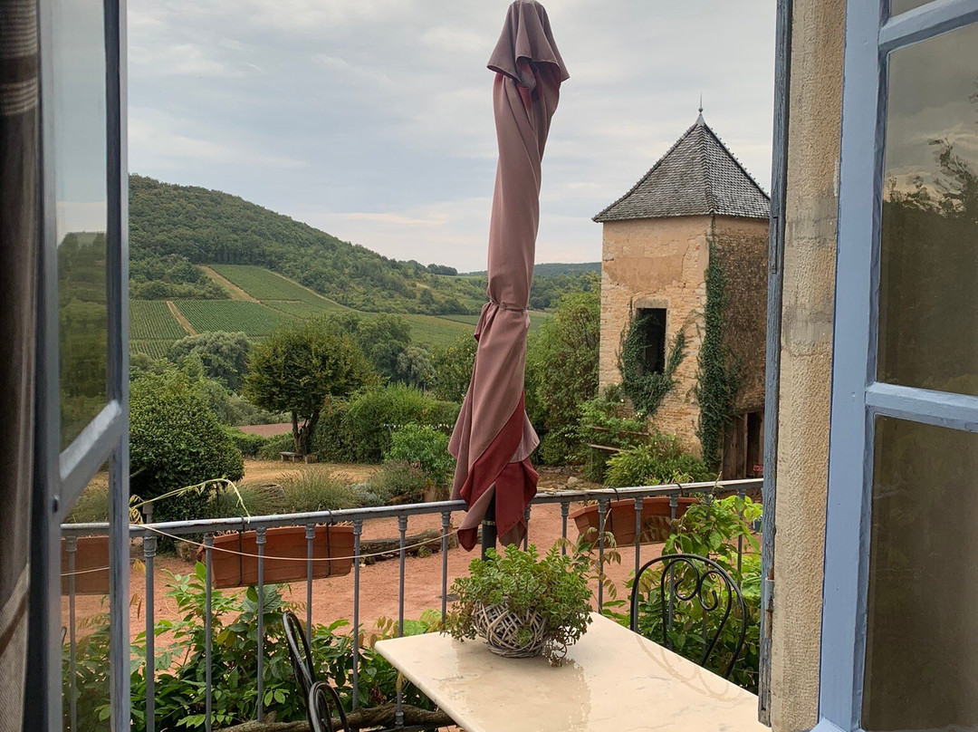Le Clos Domange主图