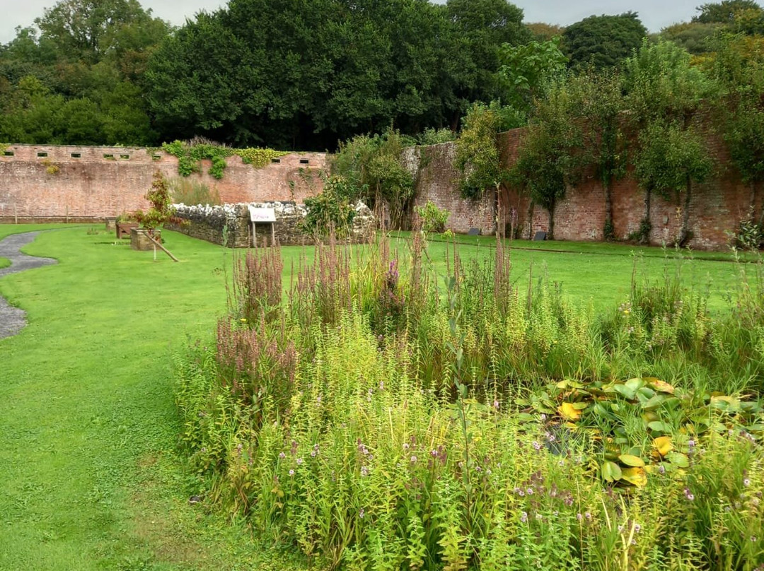 Stackpole Walled Garden-Stackpole必去景点