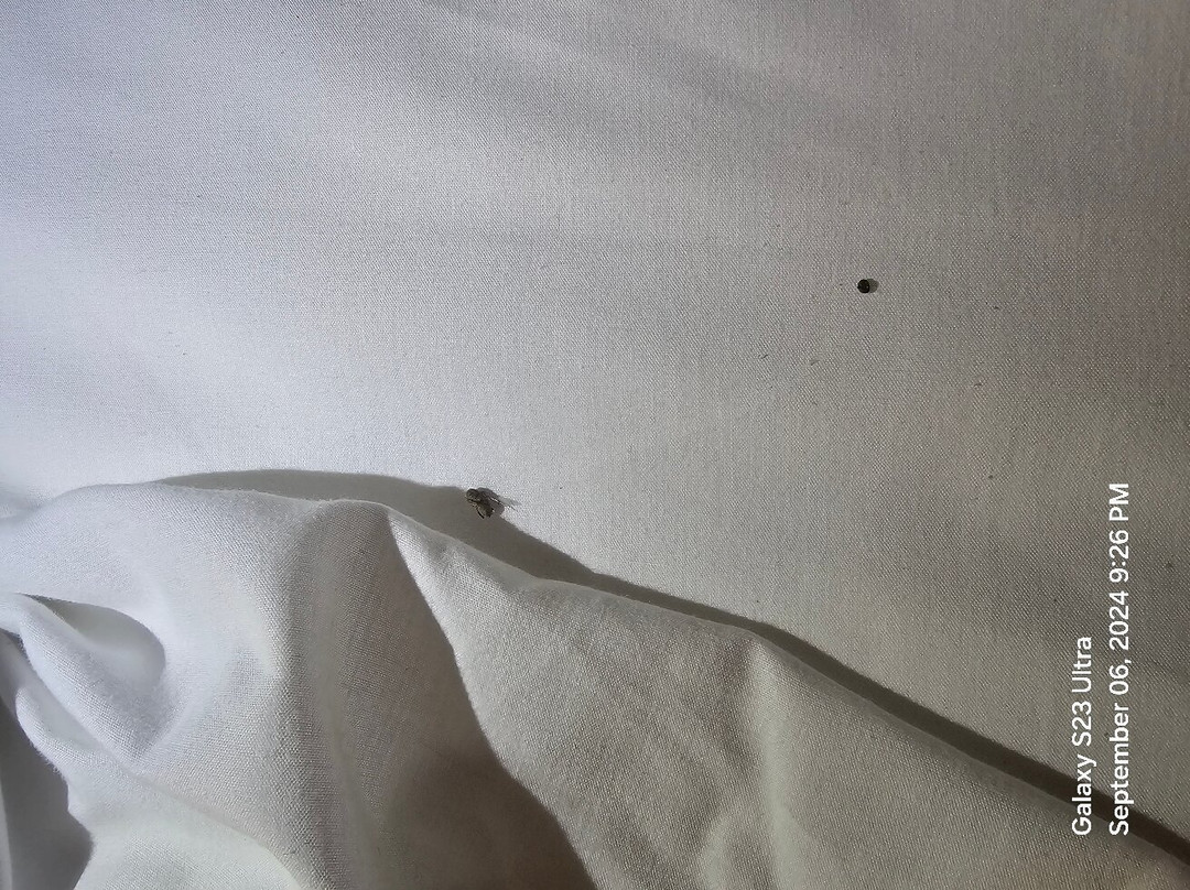 The Creekstone主图