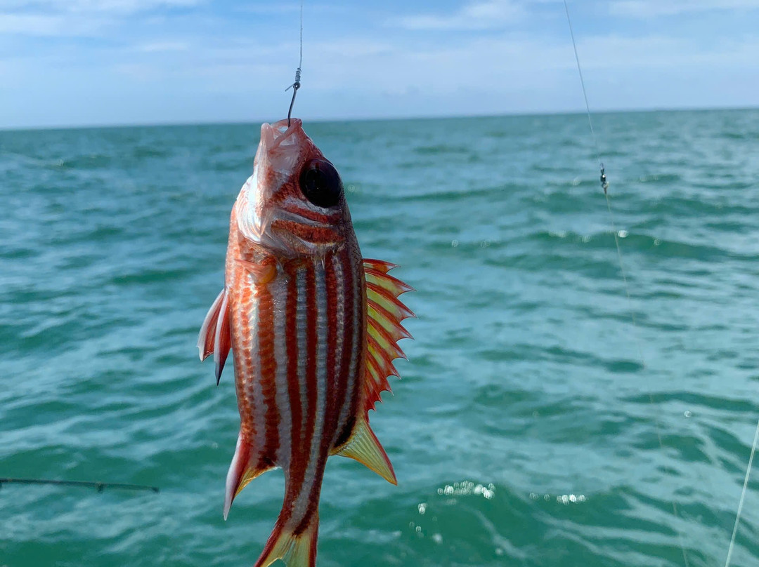 FishingFeel-岘港必去景点