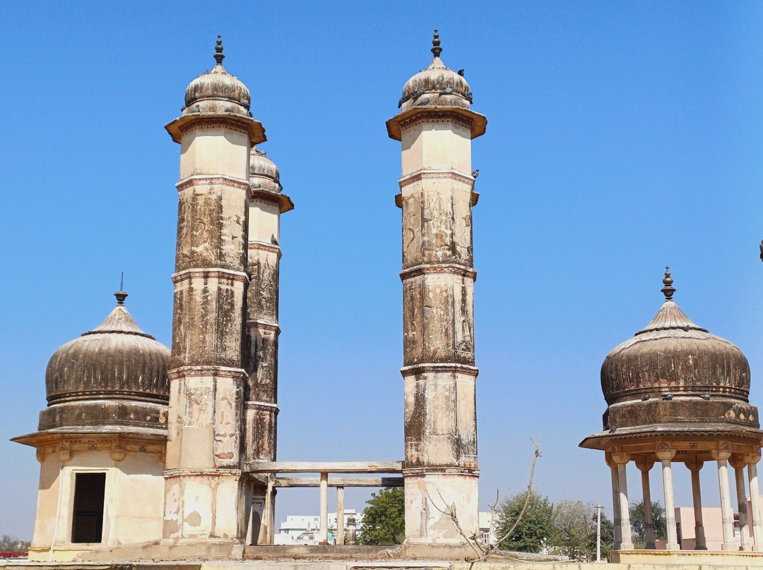 Mandawa Guide For Haveli Tour景点图片