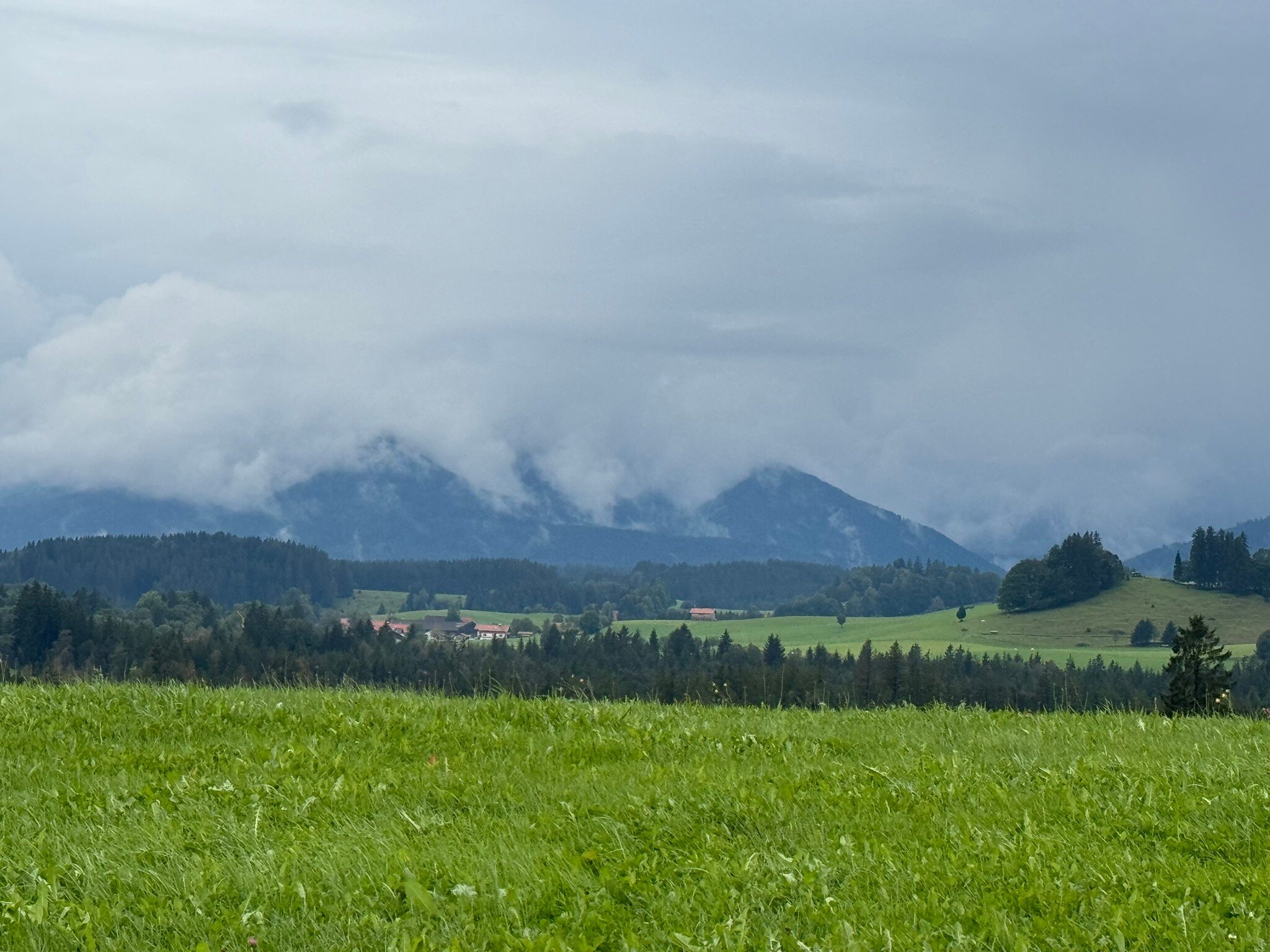 Gasthof zum Strauss-官方