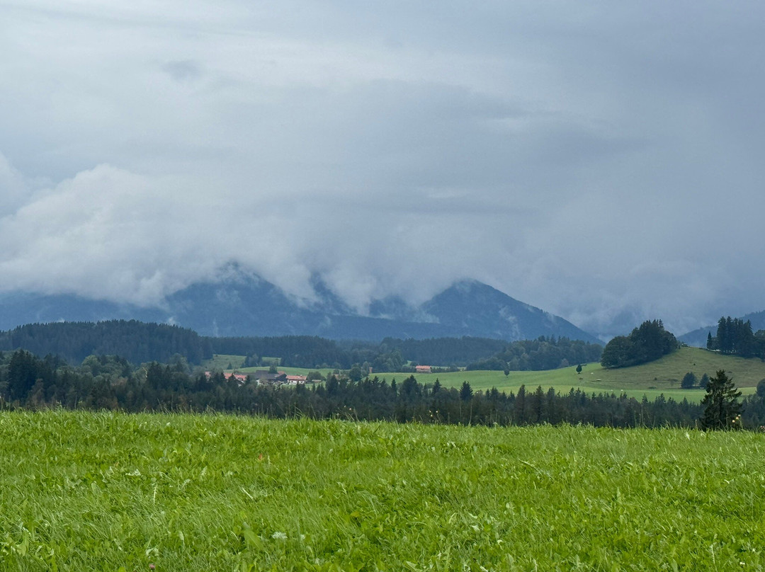 Gasthof zum Strauss主图
