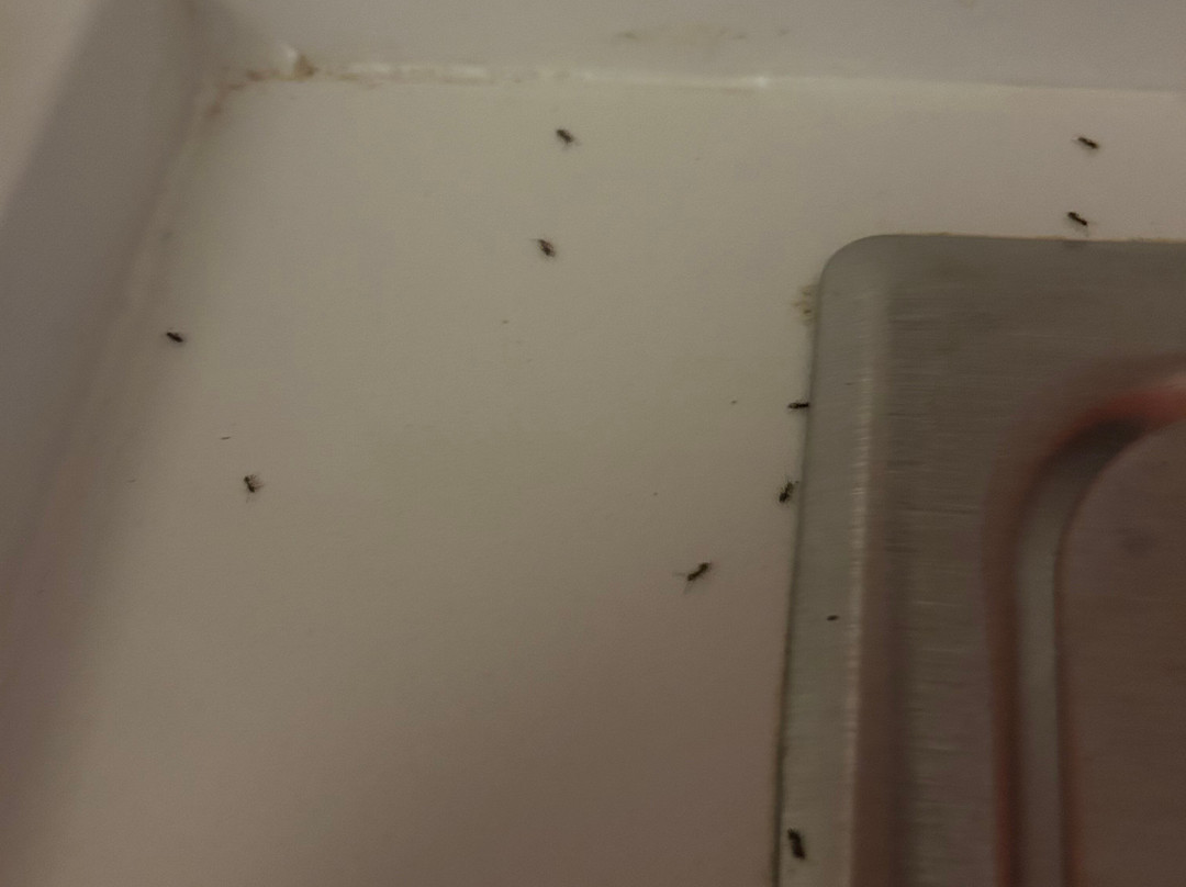 Residence Inn by Marriott Evansville East主图