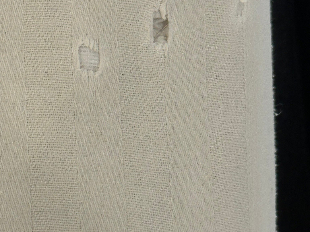 Gulmohar Sariska Resort主图