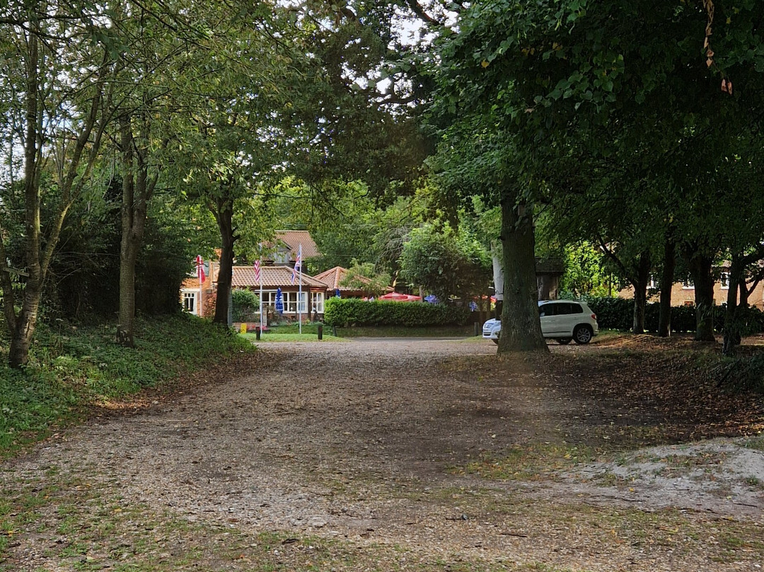 The Olde Windmill Inn主图