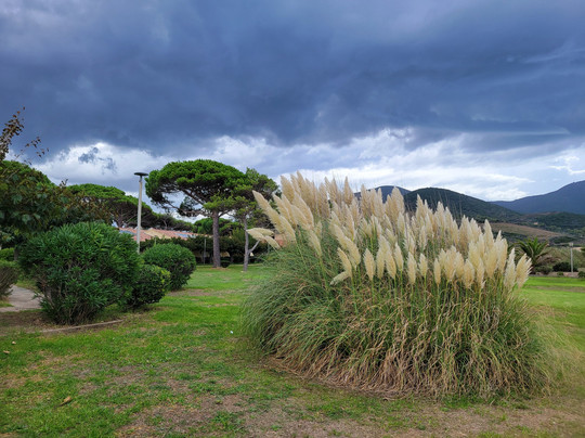 Plage de Lava-Appietto必去景点