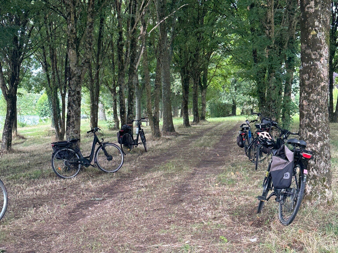 Loire Life Cycling Holidays景点图片