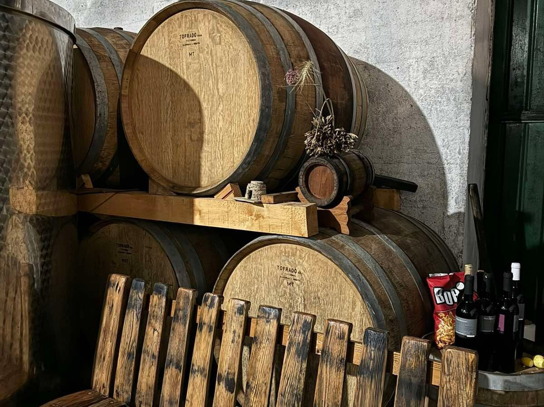Vinarija Braca Plancic景点图片