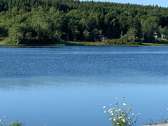 Old Confidence Lodge-Riverport必去景点