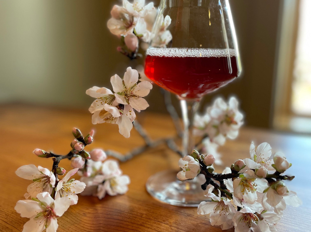 Posterity Ciderworks-Mokelumne Hill必去景点