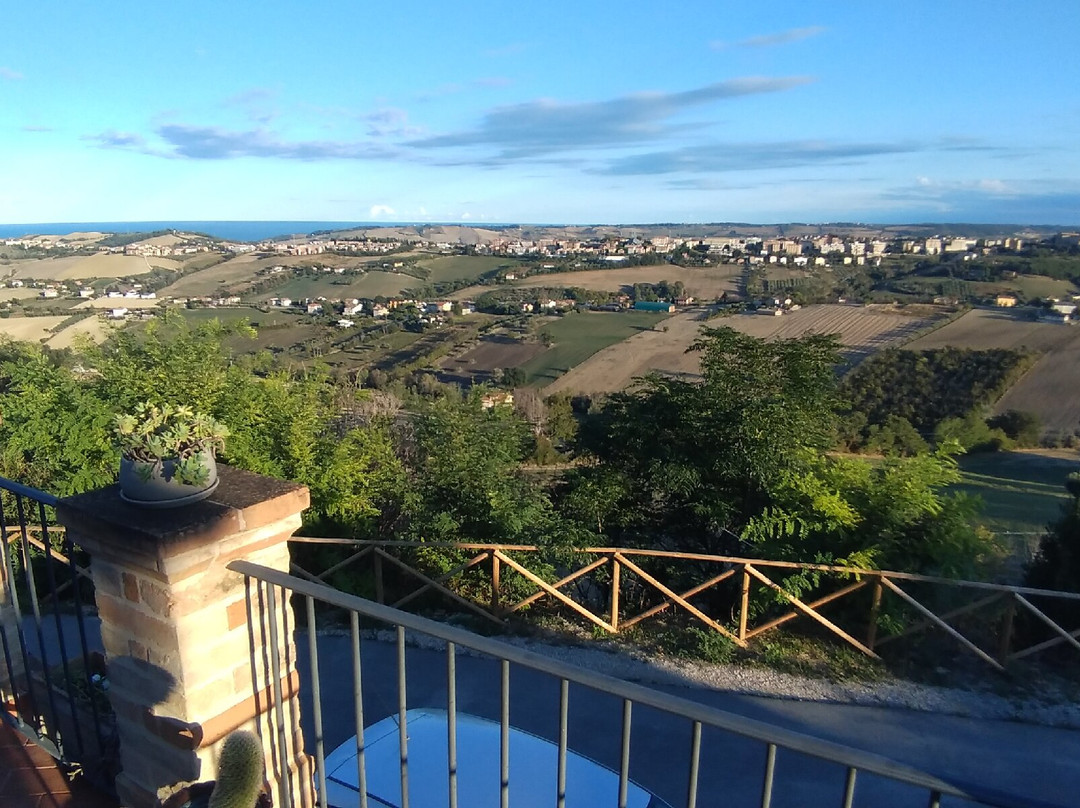 Colle Dei Falchi主图