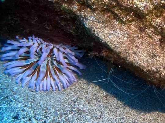 Bahianus Club Lanzarote-卡门港必去景点