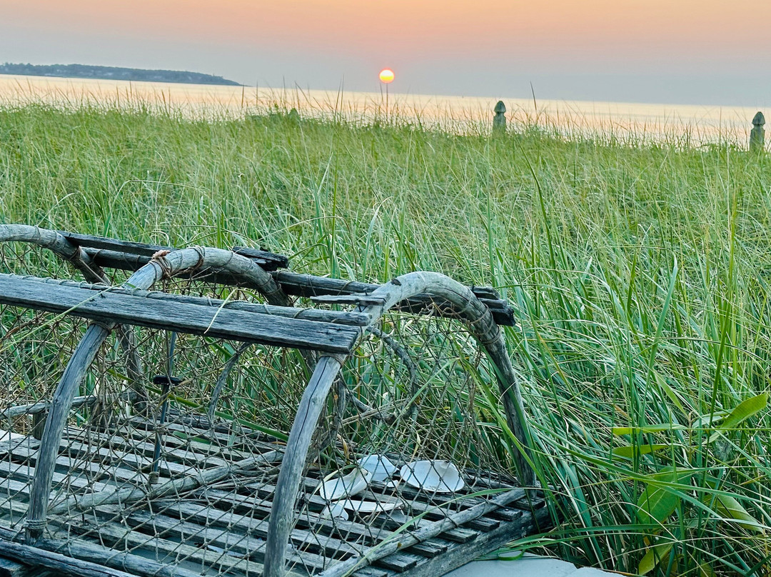 The Beach House主图