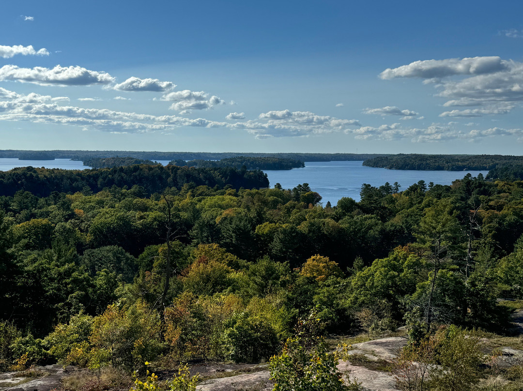 Huckleberry Rock Lookout Trail景点图片