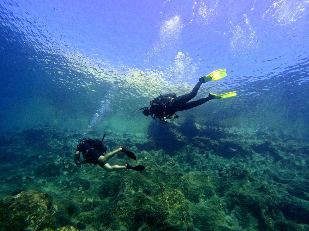 X Ta Sea Divers-Santa Maria必去景点