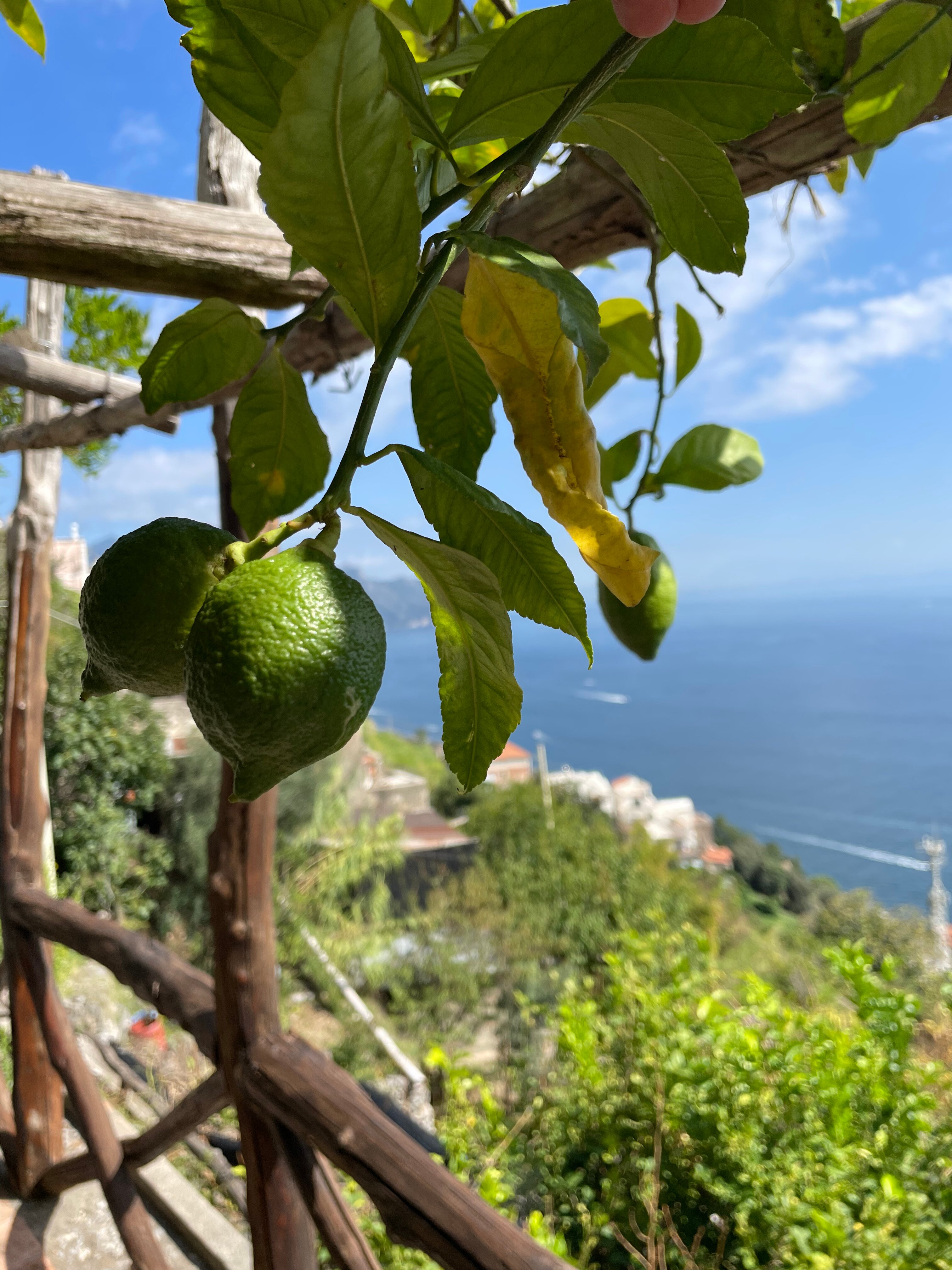 Ercole di Amalfi Bed & Breakfast-官方