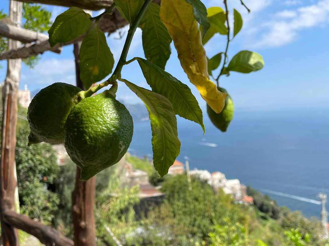 Ercole di Amalfi Bed & Breakfast主图