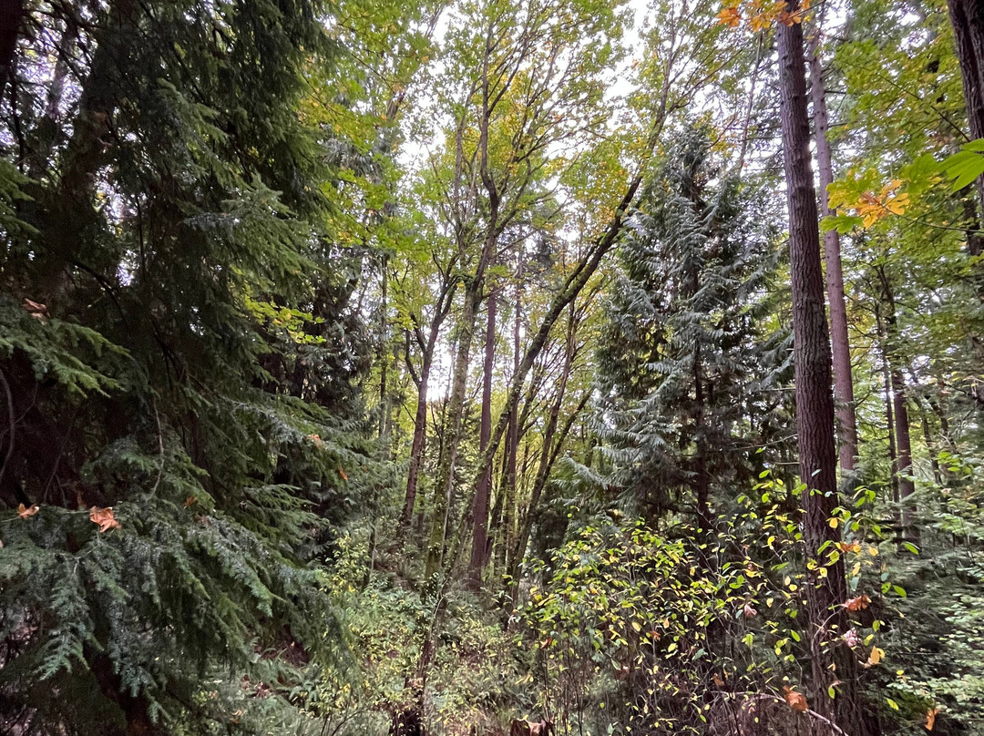 St edward state park-Kenmore必去景点