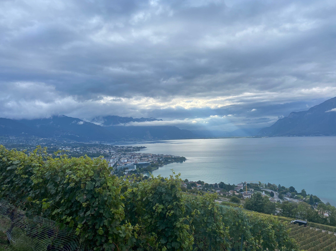 Maurice Neyroud-Chardonne必去景点