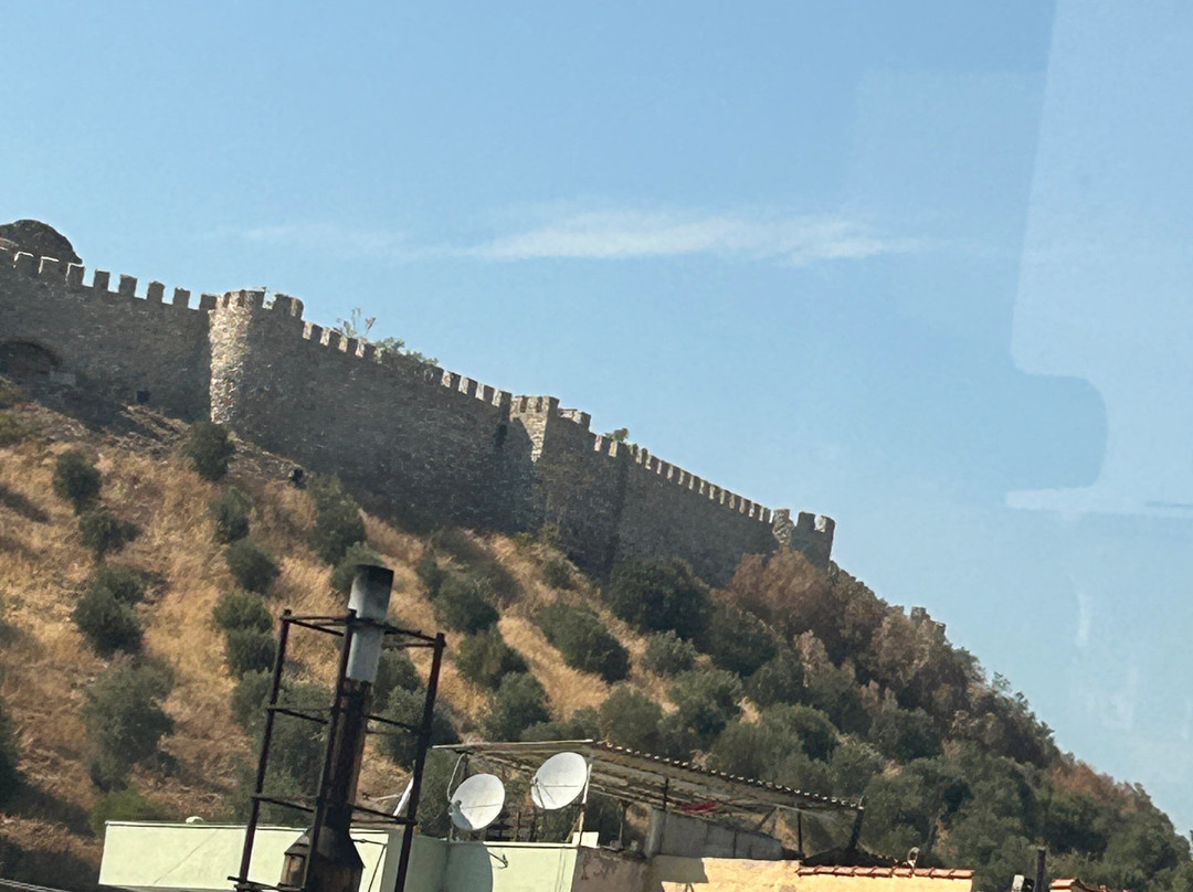 Ayasoluk Castle景点图片
