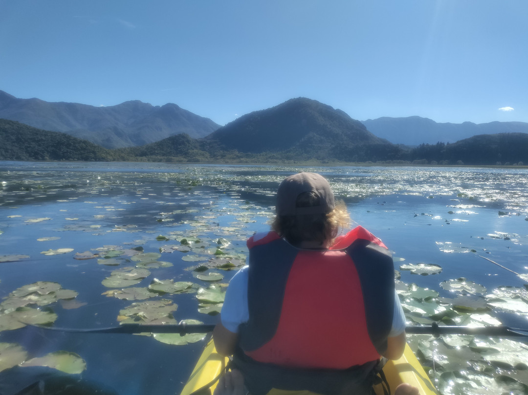 Monte Frog Boat Cruise-维尔巴札拉必去景点