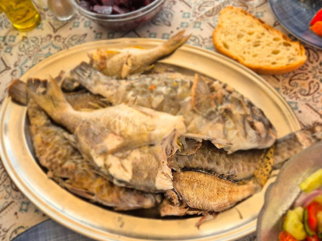 Milos Fishing Experience景点图片