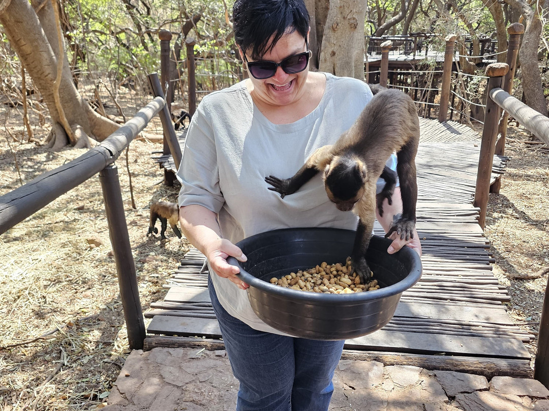 Bush Babies Monkey Sanctuary-哈特比斯普特必去景点