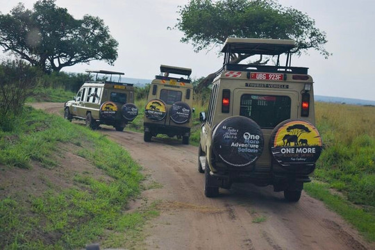 One More Adventure Safaris