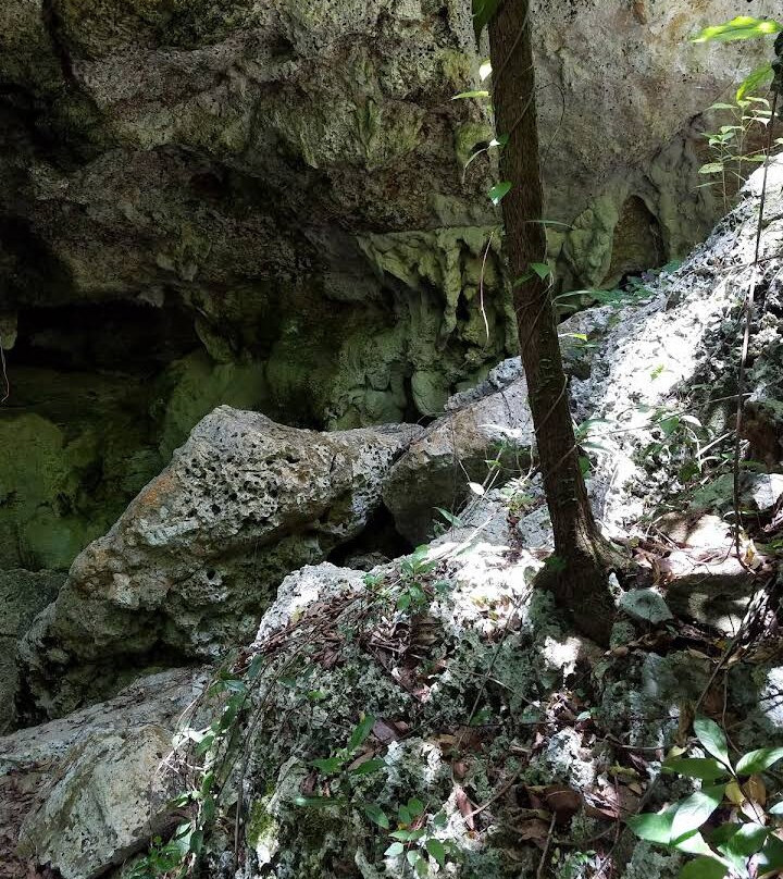 Excursionsrus-蓬塔卡纳必去景点