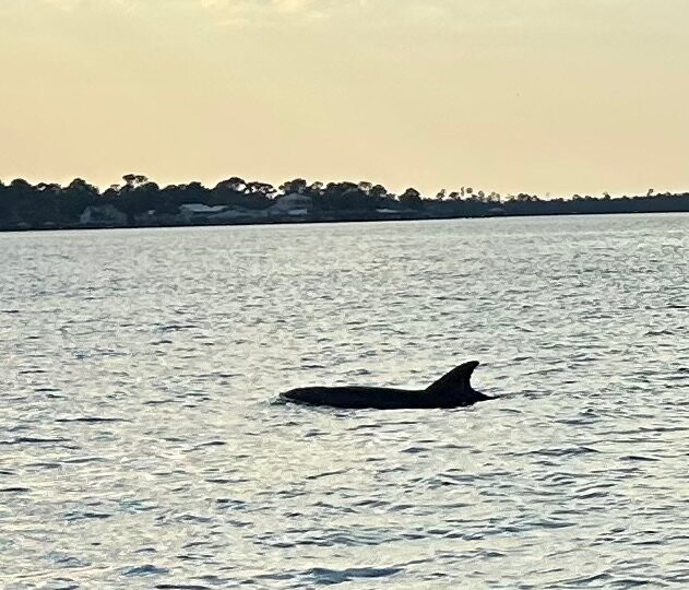Back Bay Charters-橙色海湾必去景点