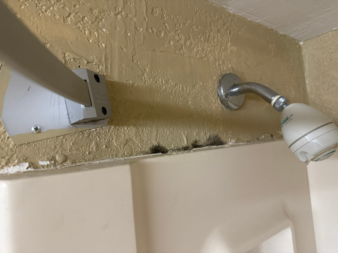 Super 8 by Wyndham Miamisburg Dayton S Area OH主图