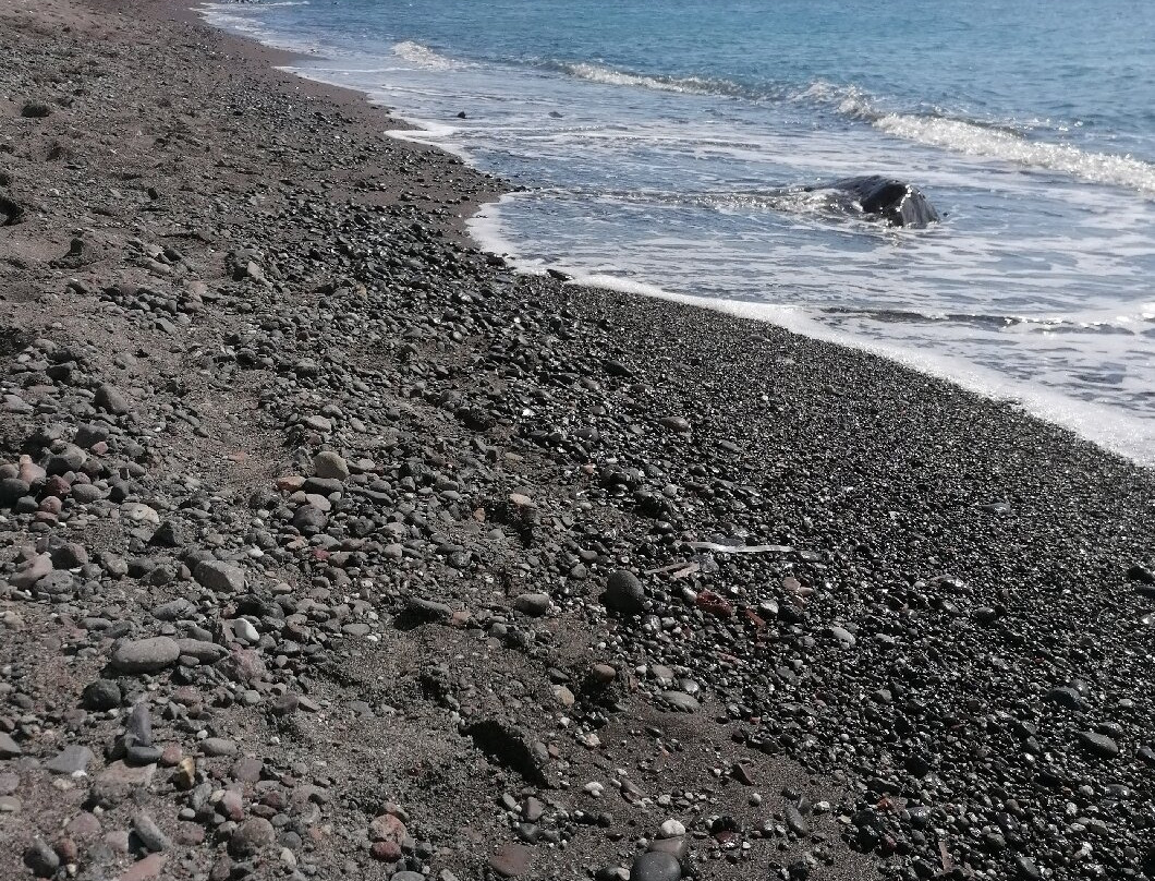 Eros Beach景点图片