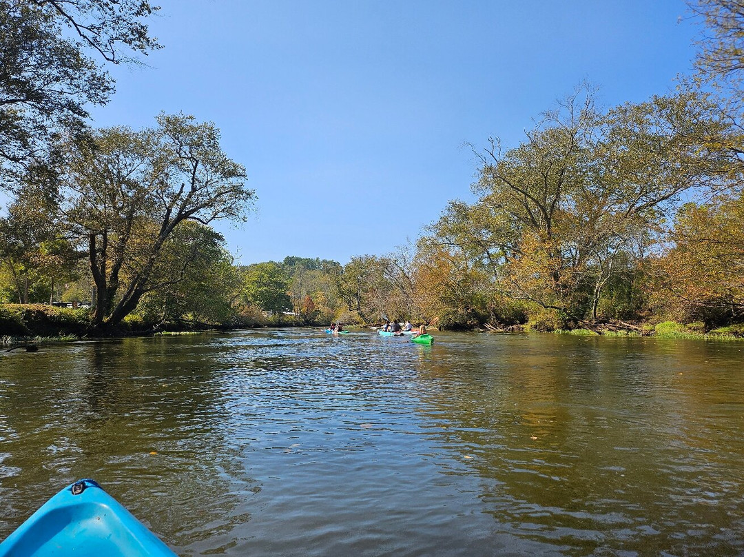 Blue Ridge Mountain Kayaking景点图片