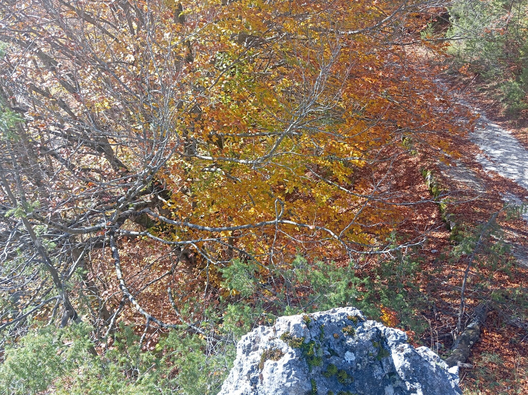 Sentiero F2 di Val Fondillo-Opi必去景点