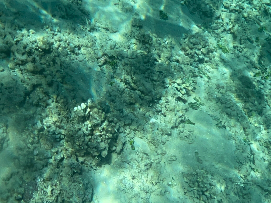 七海酒店朱莉湾 - 超级全包