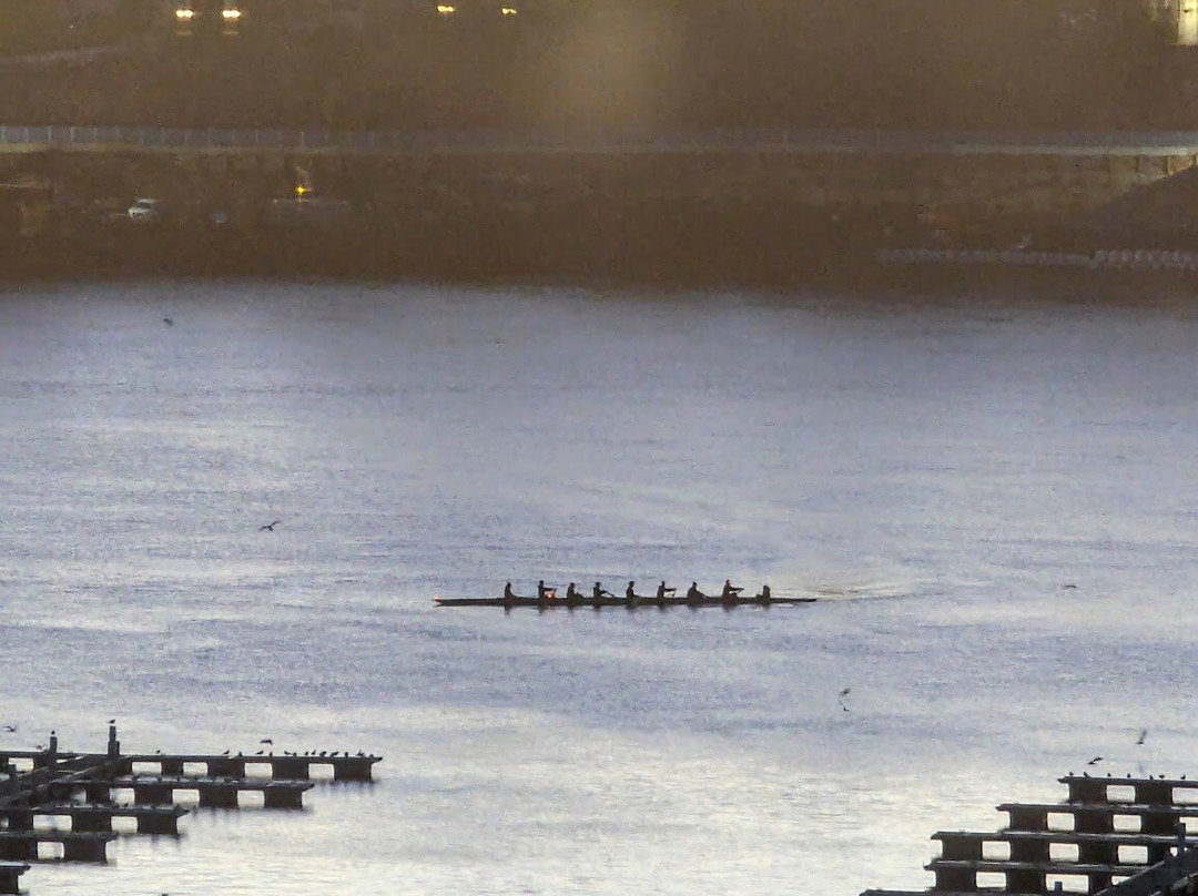 Best Western Plus Gatineau-Ottawa Downtown主图