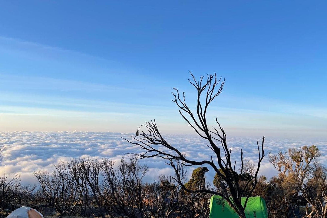 Kilimanjaro Nature Tours-阿鲁沙必去景点