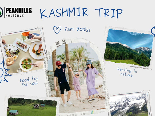 Peakhills Holidays-Anantnag必去景点
