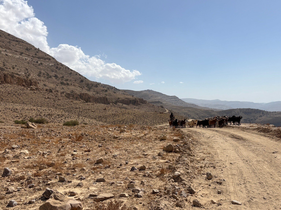 Dana Rose tours-Dana必去景点