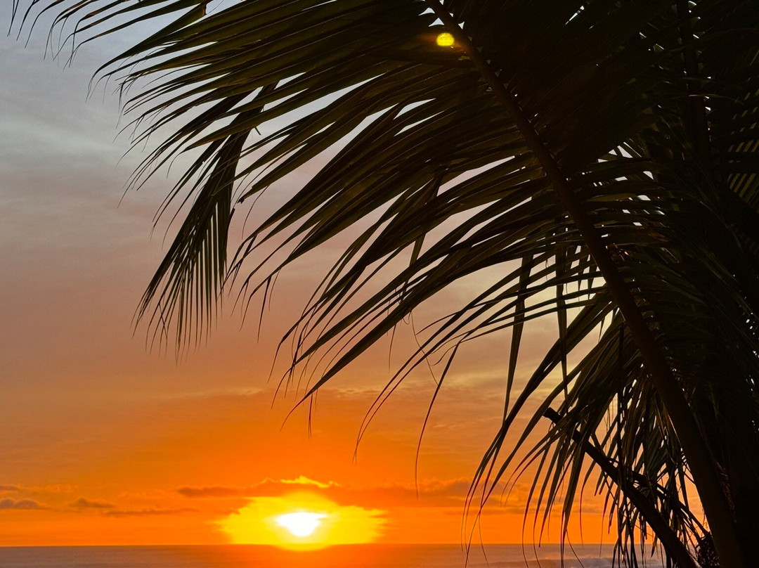 Playa Carmen景点图片