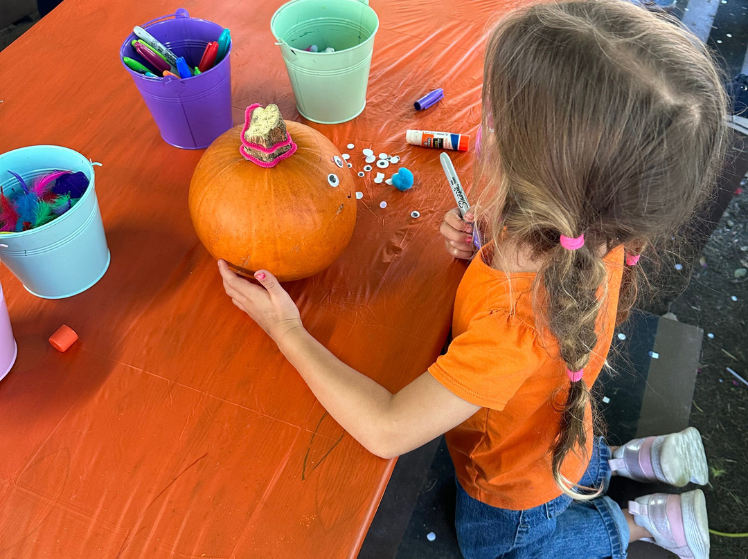 Irvine Park Railroad-橘子郡必去景点